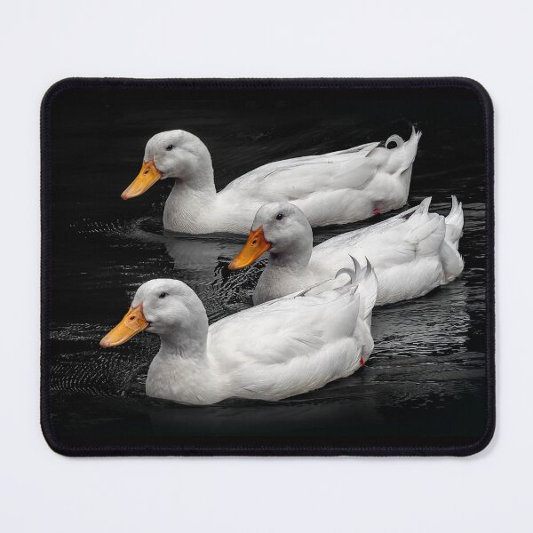 Item preview, Pekin Ducks designed and sold by carol brandt.