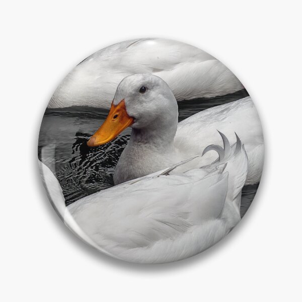 Item preview, Pekin Ducks designed and sold by carol brandt.