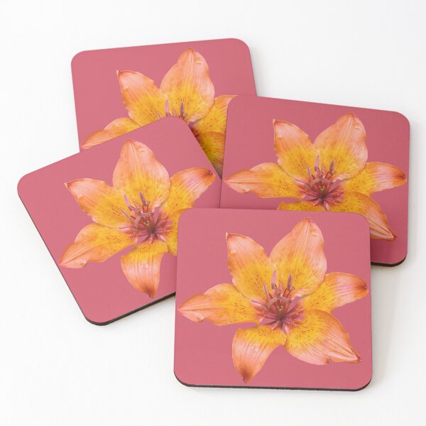 Item preview, Orange Tone Lily Flower Isolated  designed and sold by taiche.