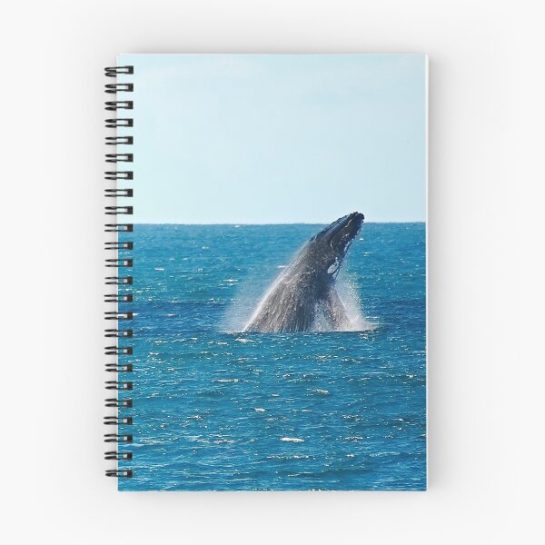 Item preview, humpback breach. bicheno, eastcoast tasmania designed and sold by bodhiimages.