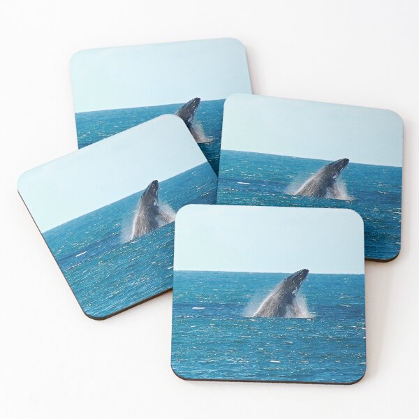 Item preview, humpback breach. bicheno, eastcoast tasmania designed and sold by bodhiimages.