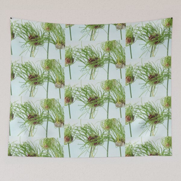 Item preview, Allium vineale  'Hair'  designed and sold by Chris Burrows.