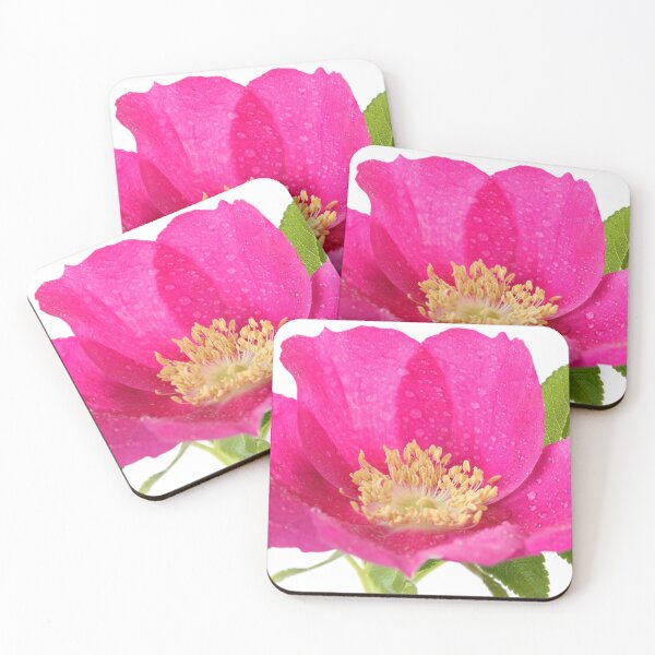 Item preview, Rosa rugosa  Hedgerow rose  designed and sold by Chris Burrows.