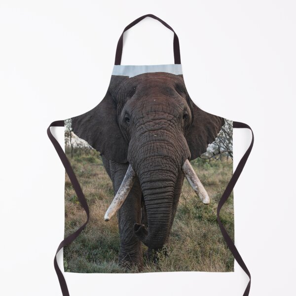 Artikelvorschau, Großer Elefant in Afrika entworfen und verkauft von kjewikarn.