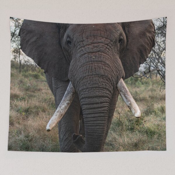 Item preview, Big elefant in Africa designed and sold by kjewikarn.