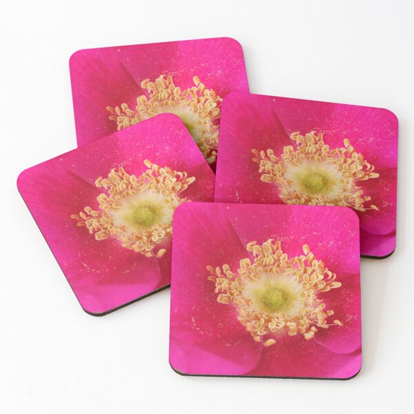 Item preview, Rosa rugosa  Hedgerow rose  designed and sold by Chris Burrows.