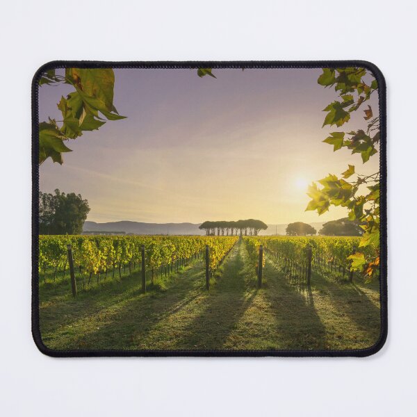 Item preview, Bolgheri vineyard at sunrise. Tuscany designed and sold by Stefano Orazzini.