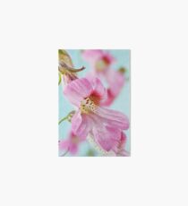 Rehmannia elata AGM Chinese foxglove Art Board Print