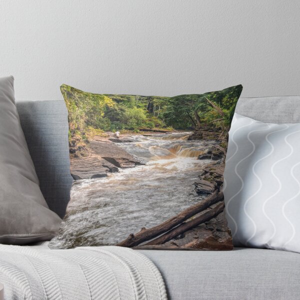 Aperçu de l'œuvre Rivière Presque Isle créée et vendue par YelloCoyote Photography.