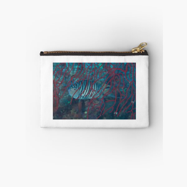 Item preview, Genicanthid designed and sold by Mark Rosenstein.