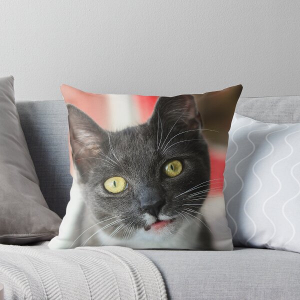 Item preview, Eye contact designed and sold by GreyFeatherPhot.