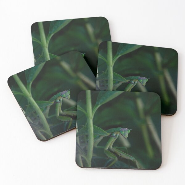 Item preview, Praying Mantis designed and sold by Drgnfly4free.
