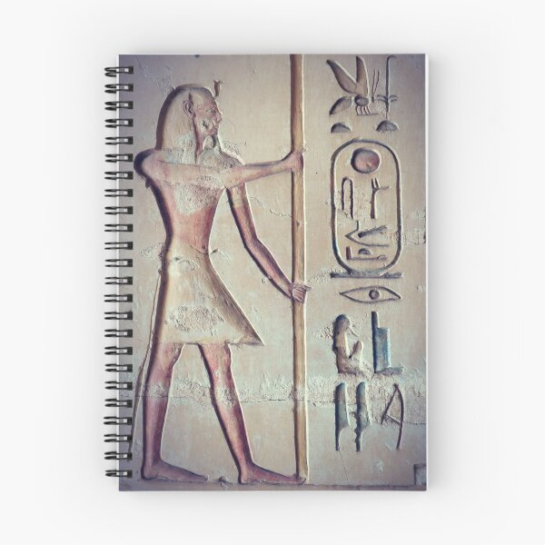 Item preview, pharaoh Ramesses II, hieroglyphics, royal cartouche, vintage photo Ancient Egypt designed and sold by art-of-egypt.