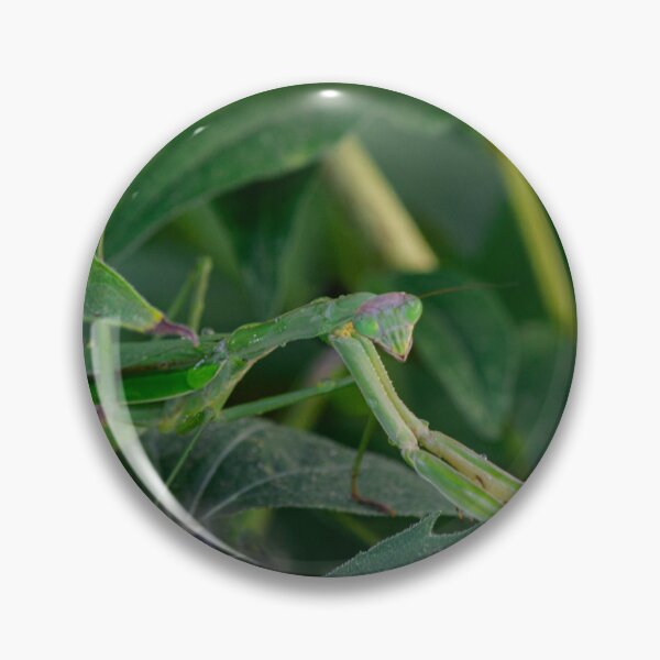 Item preview, Praying Mantis designed and sold by Drgnfly4free.