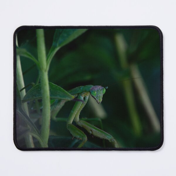 Item preview, Praying Mantis designed and sold by Drgnfly4free.