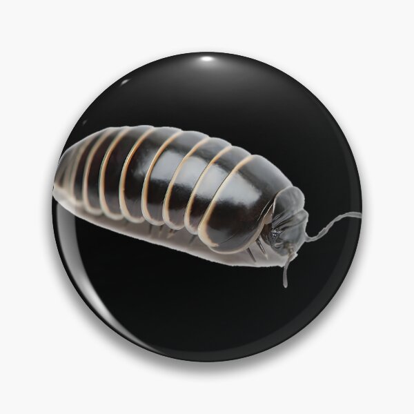 Item preview, Pill Bug  	 designed and sold by jdtrzliah16.