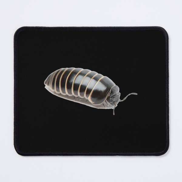 Item preview, Pill Bug  	 designed and sold by jdtrzliah16.