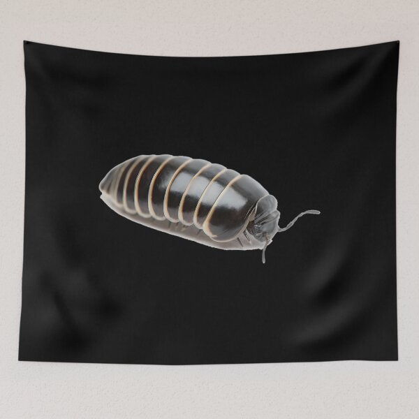 Item preview, Pill Bug  	 designed and sold by jdtrzliah16.