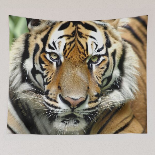 Item preview, Tiger, fierceness, majesty, leadership, elegance. designed and sold by Atroce.