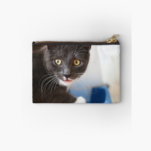 Item preview, Thirsty kiten designed and sold by GreyFeatherPhot.