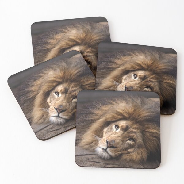 Item preview, Lion relaxing designed and sold by MvMeer.