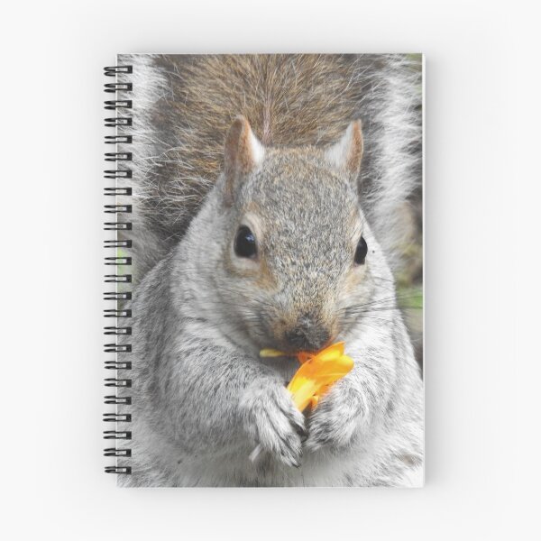 Item preview, Thank you for always bringing me treats. designed and sold by wenniewombat.