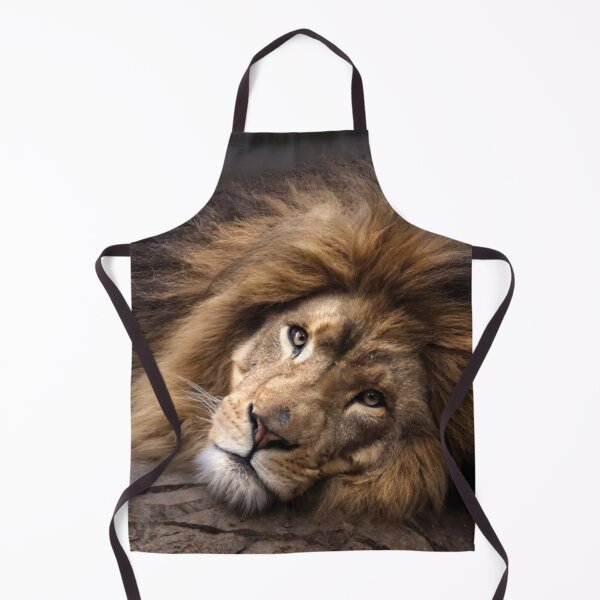 Item preview, Lion relaxing designed and sold by MvMeer.