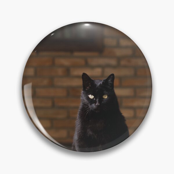 Item preview, gato preto sentado com parede de tijolos ao fundo designed and sold by Bruno Mattos.