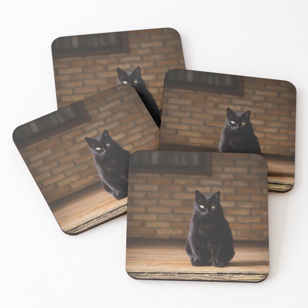 Item preview, gato preto sentado com parede de tijolos ao fundo designed and sold by Bruno Mattos.