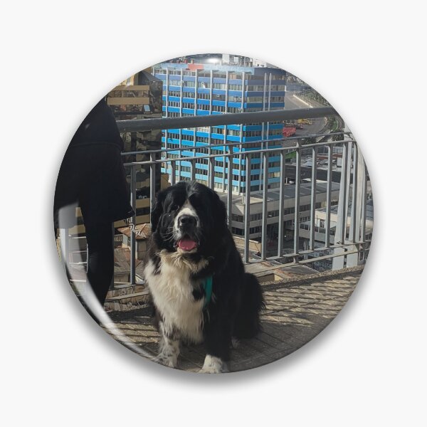 Item preview, Saint Bernard dog sitting black and white designed and sold by Bruno Mattos.