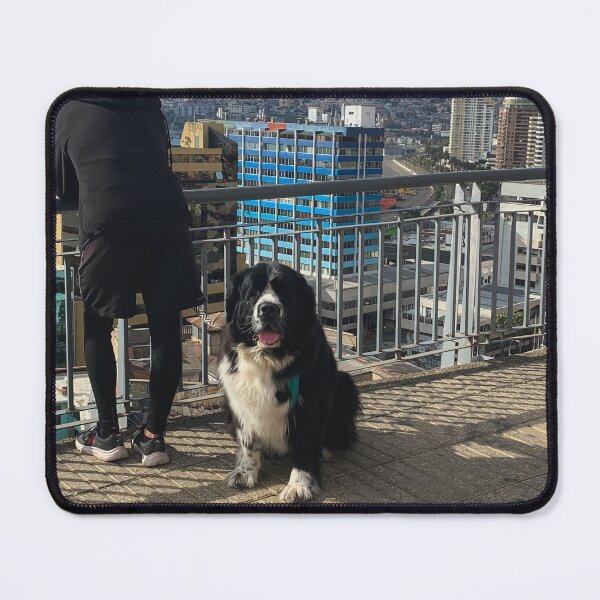 Item preview, Saint Bernard dog sitting black and white designed and sold by Bruno Mattos.