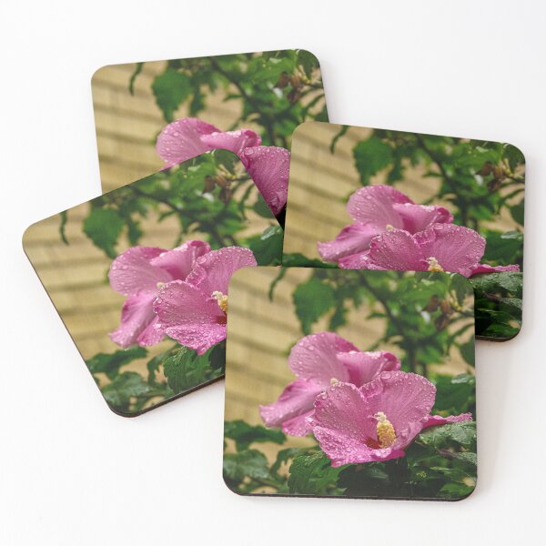 Item preview, Roses of Jerusalem and Raindrops designed and sold by SRosuphotos.