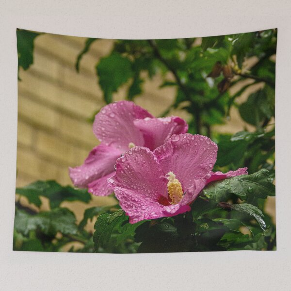 Item preview, Roses of Jerusalem and Raindrops designed and sold by SRosuphotos.