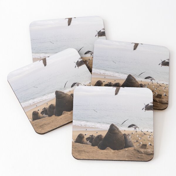 Item preview, sea ​​lions on the beach with seagulls designed and sold by Bruno Mattos.