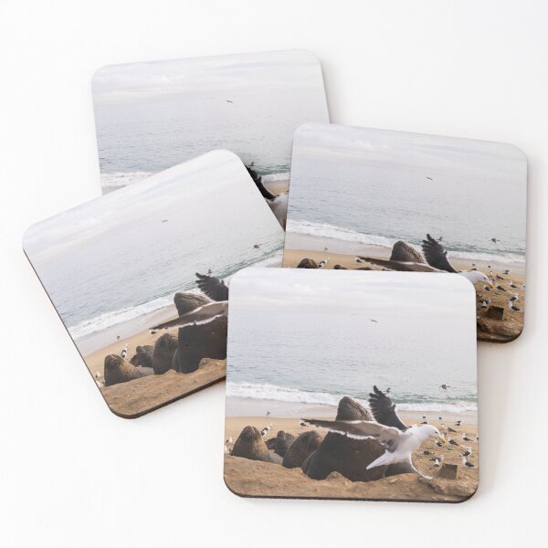Item preview, sea ​​lions on the beach with seagulls flying designed and sold by Bruno Mattos.