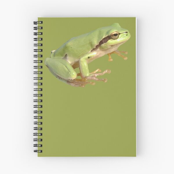 Item preview, Cute European Green Tree Frog Cut Out designed and sold by taiche.