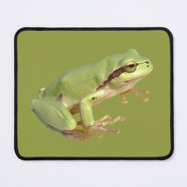 Item preview, Cute European Green Tree Frog Cut Out designed and sold by taiche.