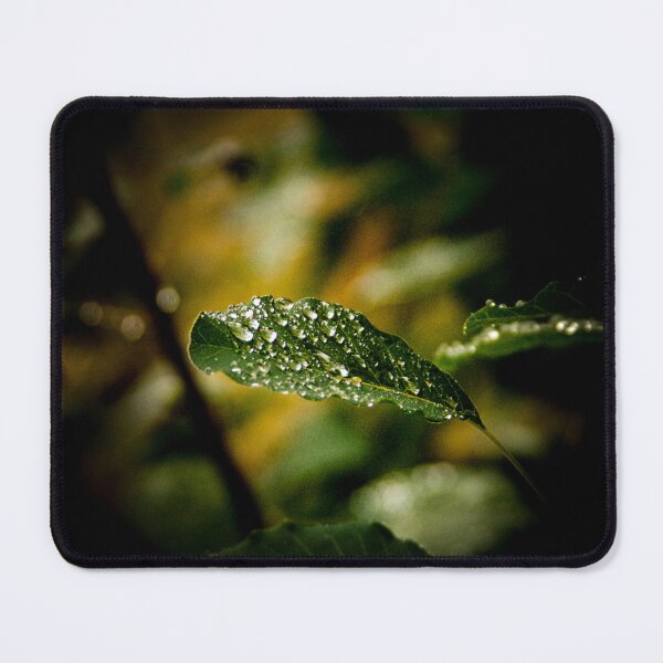 Item preview, Morning Diamonds  designed and sold by SRosuphotos.