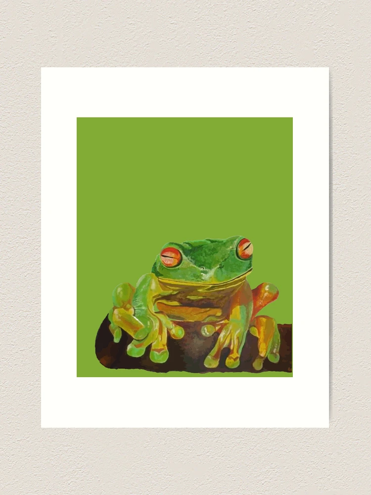Marsh Frogs Socks Colorful Socks for Men and Women Gift for Him & Her Funny  Design Man I Love Frogs 