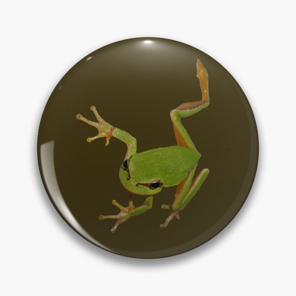 Item preview, European Green Tree Frog Isolated designed and sold by taiche.