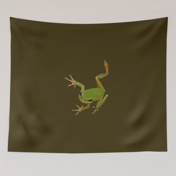 Item preview, European Green Tree Frog Isolated designed and sold by taiche.