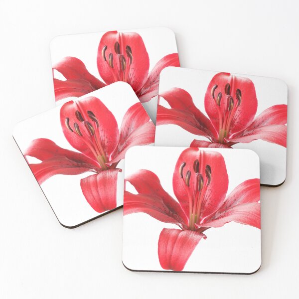 Item preview, Lilium  'Blackout'  Lily  Asiatic lily   designed and sold by Chris Burrows.