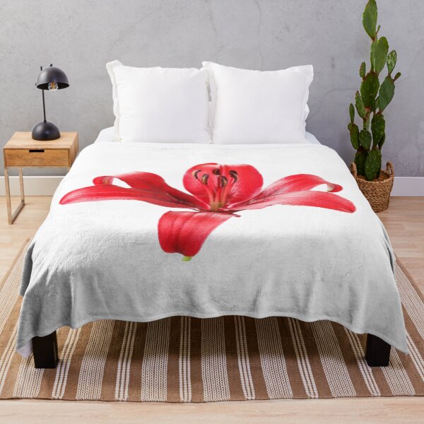 Item preview, Lilium 'Blackout' Lily Asiatic lily designed and sold by Chris Burrows.