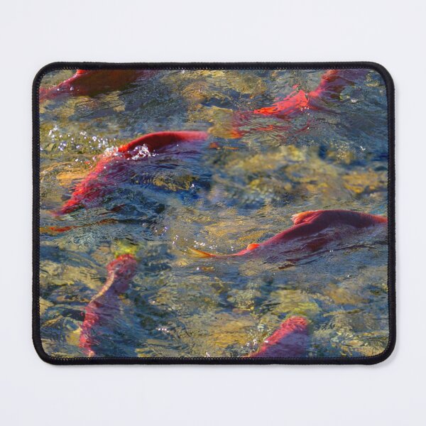 Item preview, Salmon Run - Adams River, British Columbia designed and sold by Betsy Seeton.