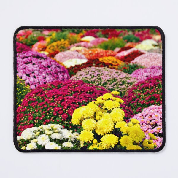 Item preview, Garden with different chrysanthemum flower autumn season designed and sold by goceris.