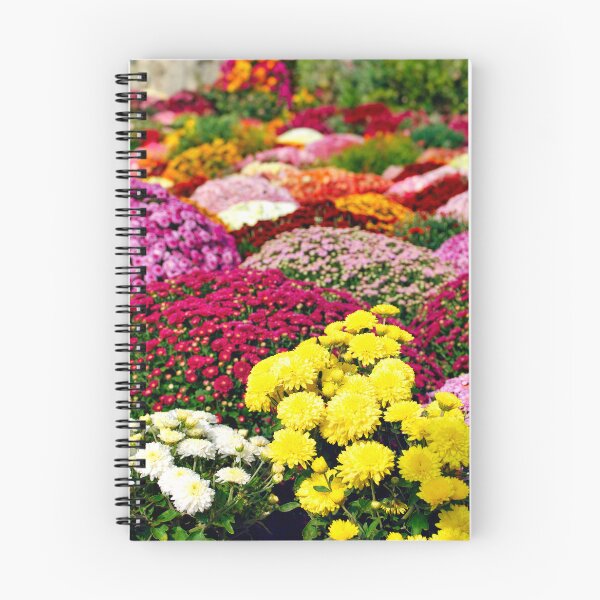 Item preview, Garden  with different chrysanthemum flower autumn season designed and sold by goceris.