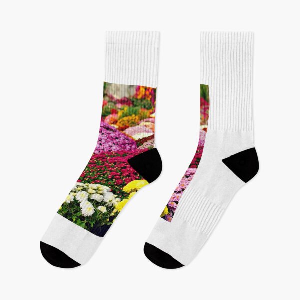 Item preview, Garden  with different chrysanthemum flower autumn season designed and sold by goceris.