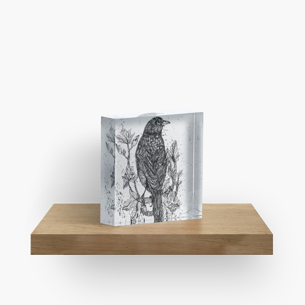 Item preview, Acrylic Block designed and sold by Stirly.