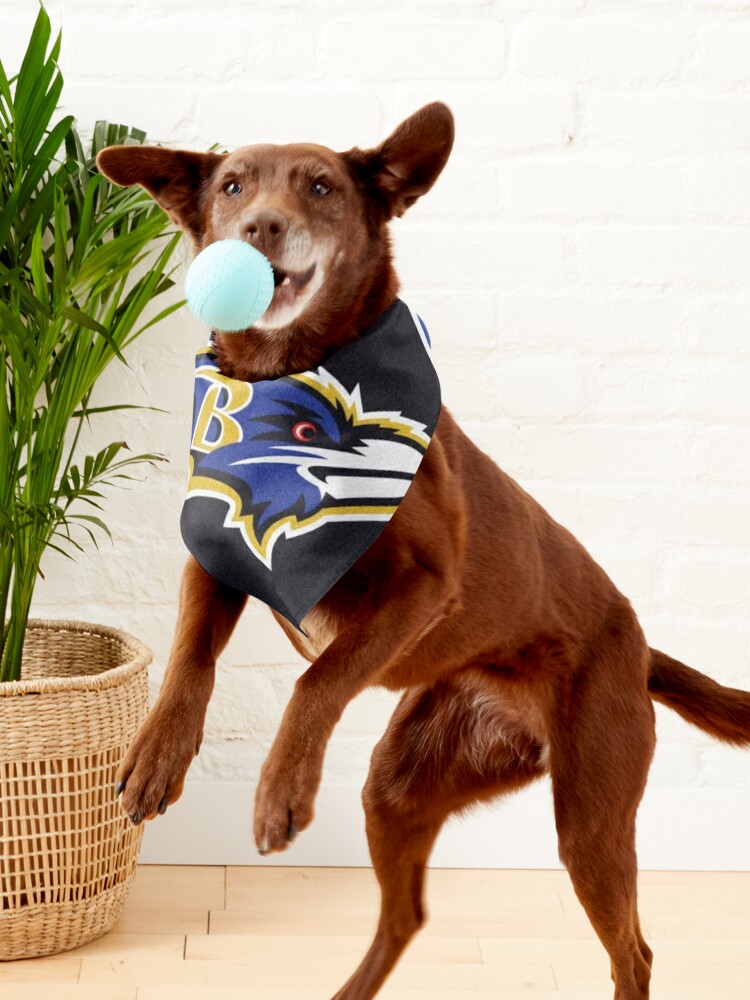 Baltimore-City  Pet Bandana for Sale by goshtalk