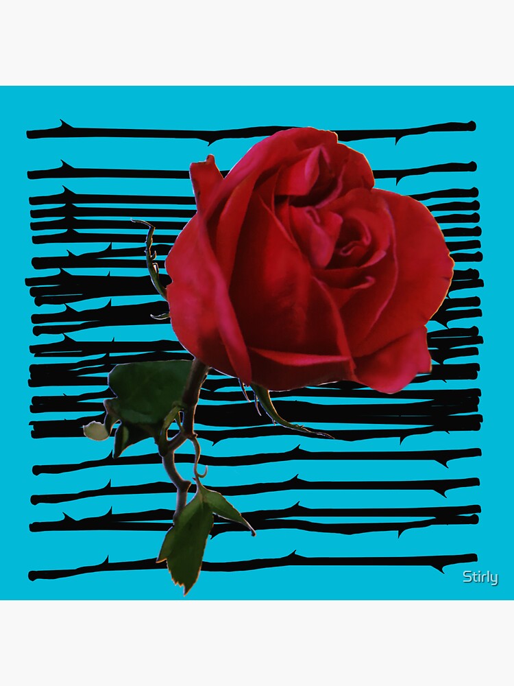 Thumbnail 3 of 3, Sticker, Red Rose x Blue Background designed and sold by Stirly.